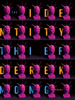 cover image of The Identity Thief